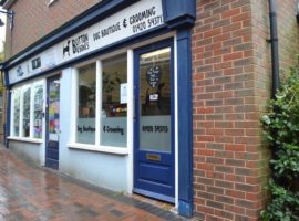 TOWN CENTRE BUSINESS UNIT, 239 SQ FT with CLASS E BUSINESS USE - TO LET